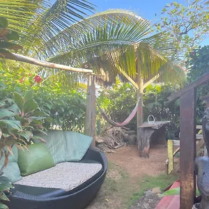 villa-rasta-ocean-view-bungalows.comcaribbean.com/